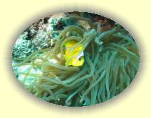 IMG_2007_05_28 14_10_19 * 2272 x 1704 * (582KB)